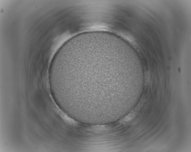 X0000070881470200606191303