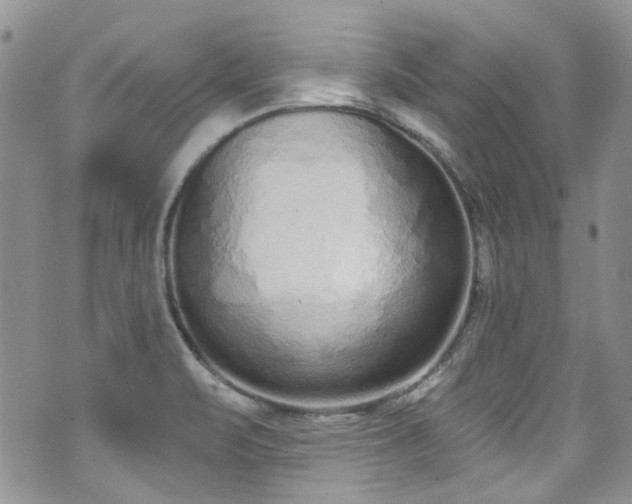 X0000070881471200606191303