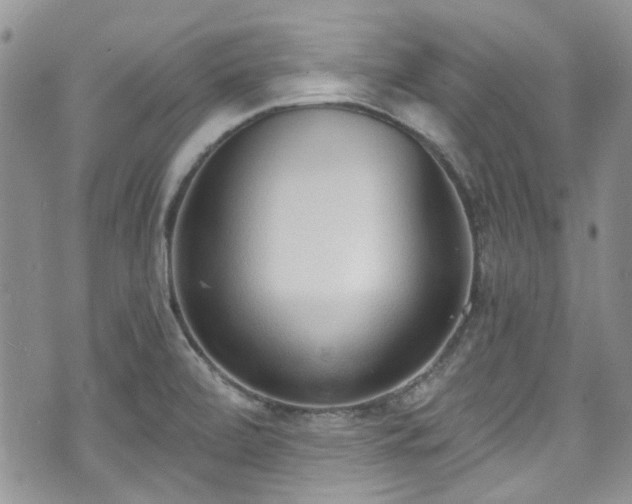 X0000070881472200606191303