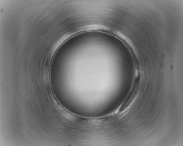 X0000070881473200606191303