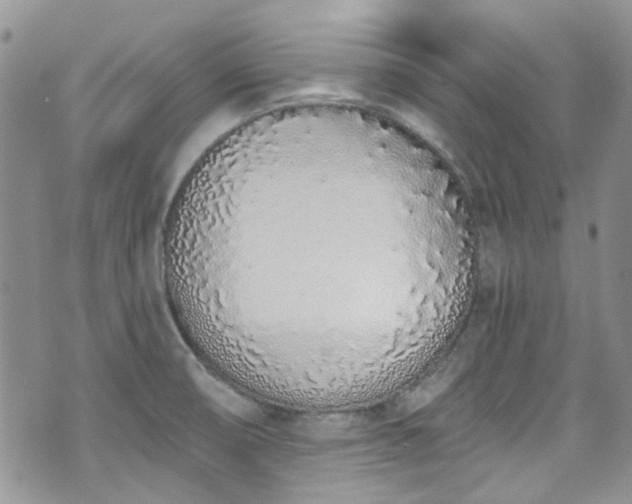 X0000070881474200606191303