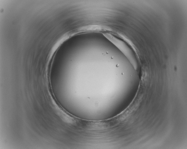 X0000070881475200606191303