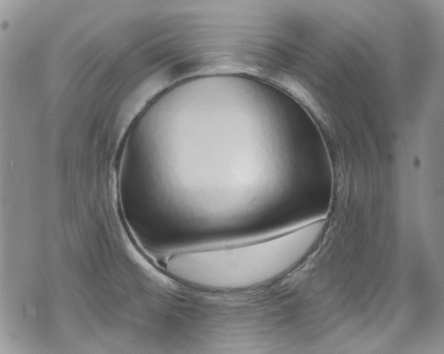 X0000070881476200606191303