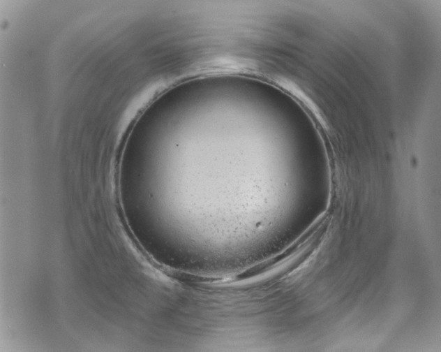 X0000070881477200606191303