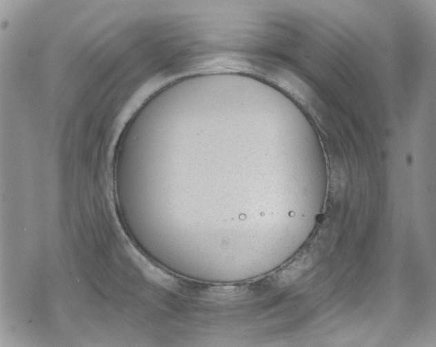 X0000070881478200606191303