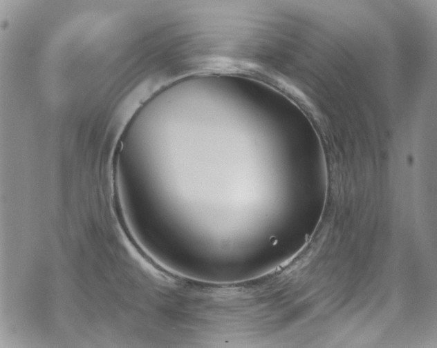 X0000070881479200606191303