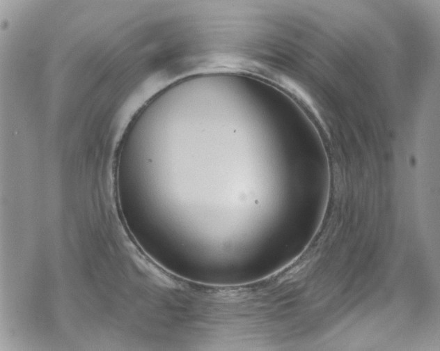 X0000070881480200606191303