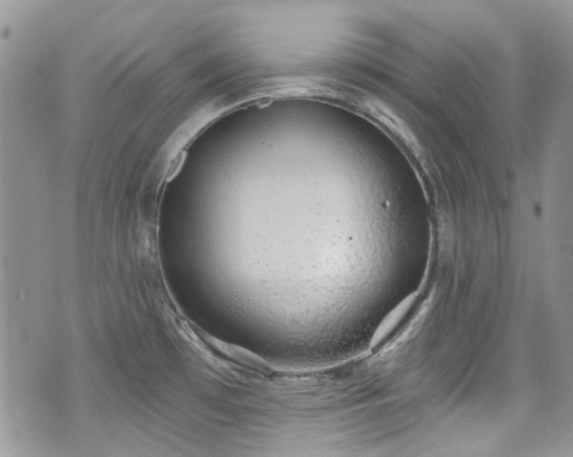 X0000070881481200606191303