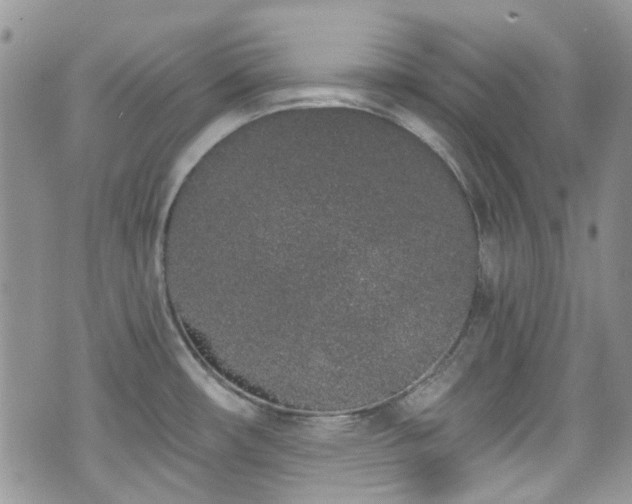 X0000070881482200606191303