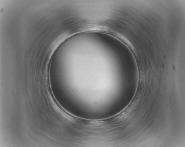 X0000070881483200606191302