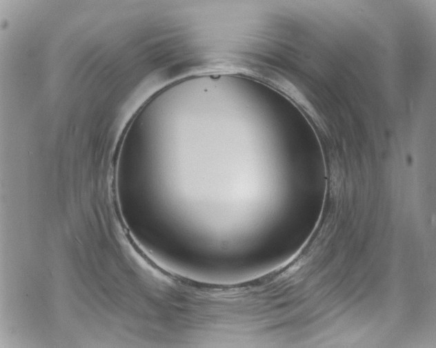 X0000070881484200606191302