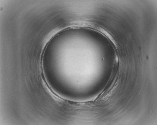 X0000070881485200606191302