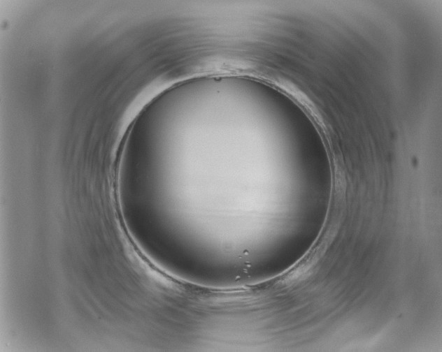 X0000070881486200606191302