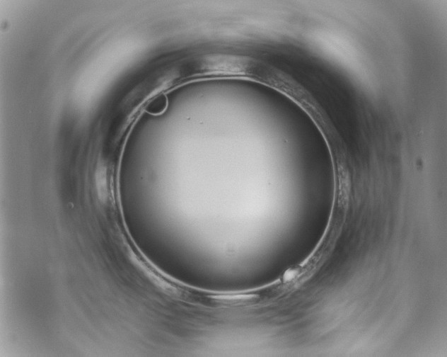 X0000070881487200606191302