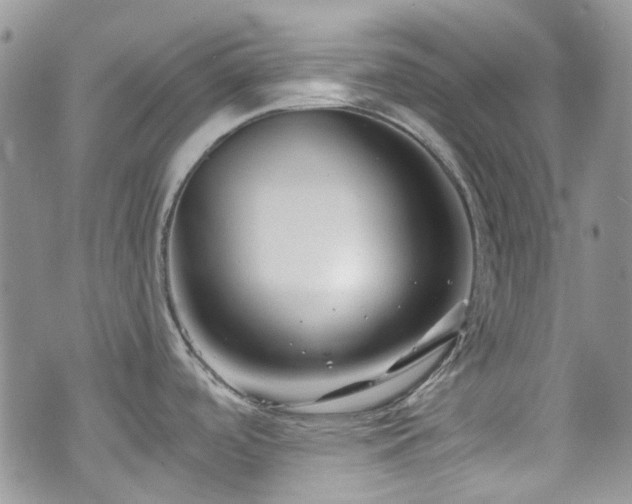 X0000070881488200606191302