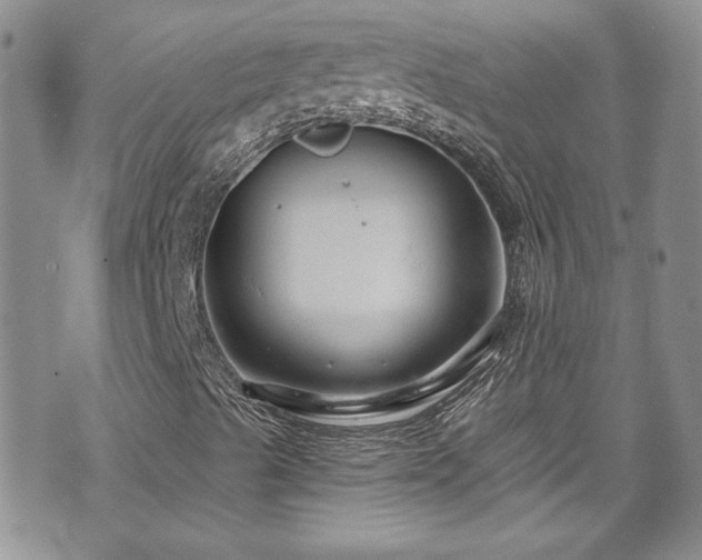 X0000070881489200606191302