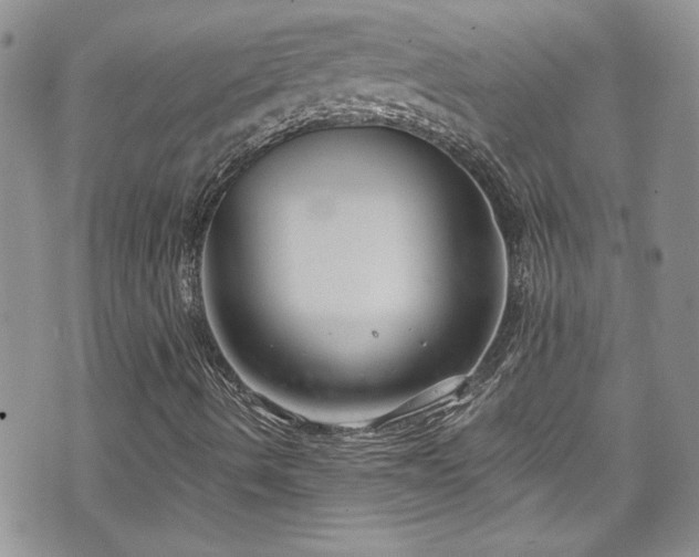 X0000070881490200606191302