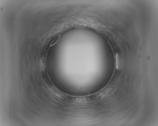 X0000070881491200606191302