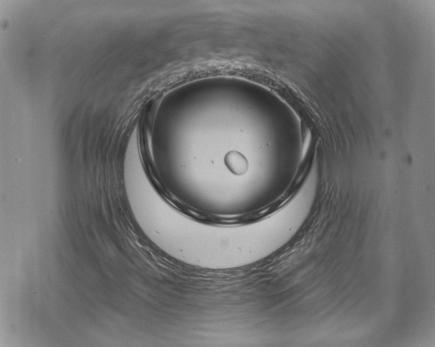 X0000070881492200606191302