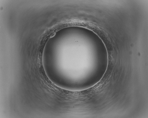 X0000070881493200606191302