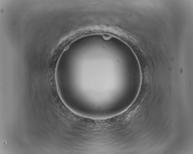 X0000070881494200606191302