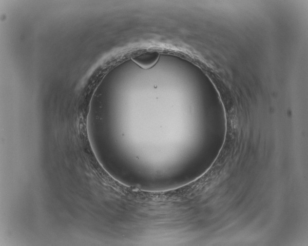 X0000070881495200606191302