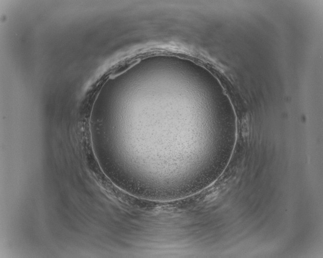 X0000070881496200606191302