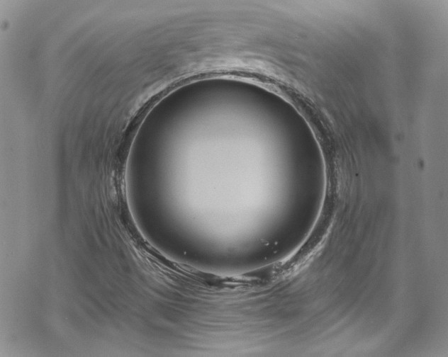 X0000070881497200606191302