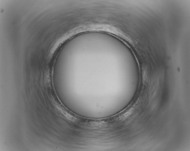 X0000070881498200606191302