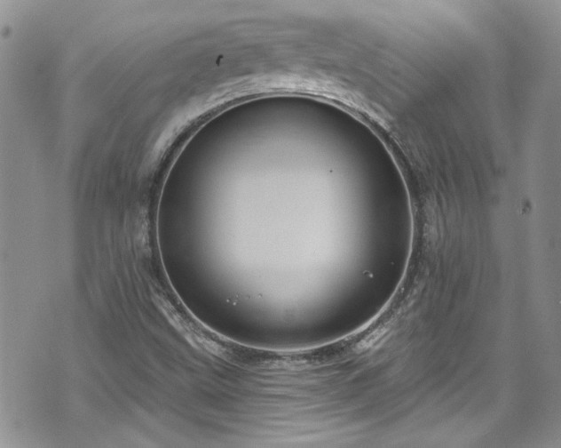 X0000070881499200606191302