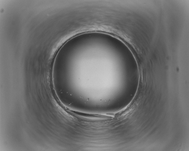 X0000070881500200606191302