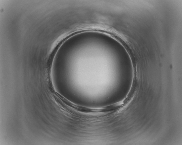 X0000070881501200606191302