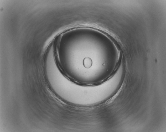 X0000070881502200606191302