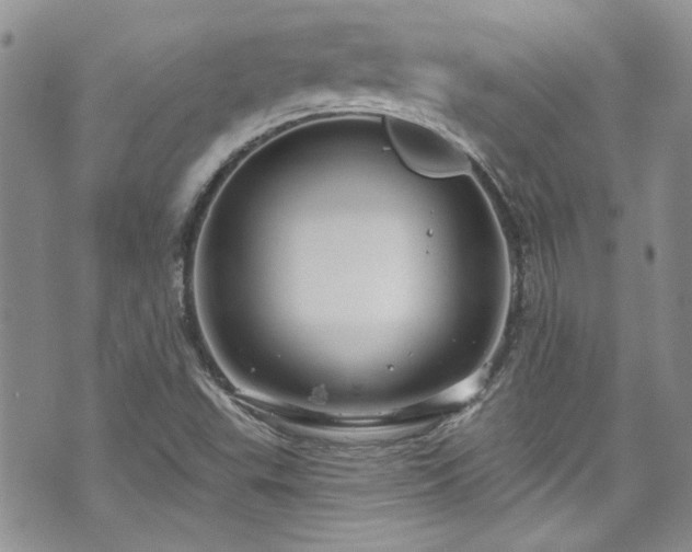 X0000070881503200606191302