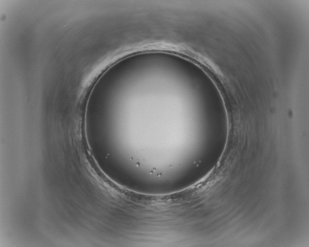 X0000070881504200606191302