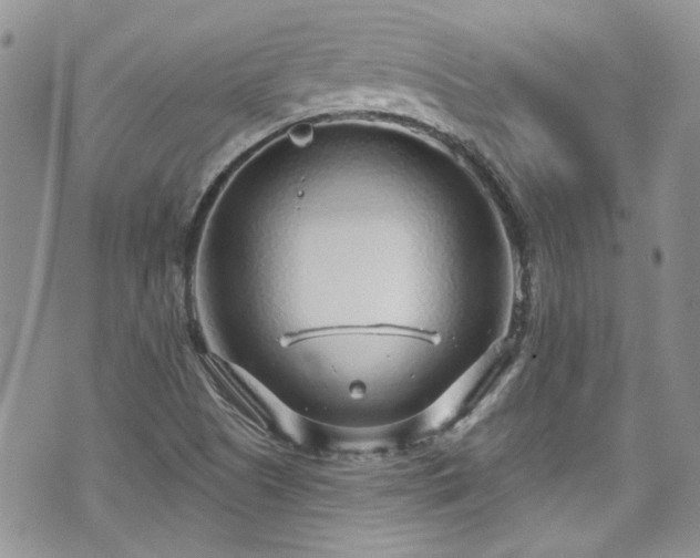 X0000070881505200606191302