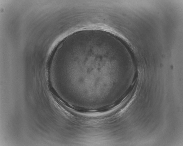 X0000070881506200606191302