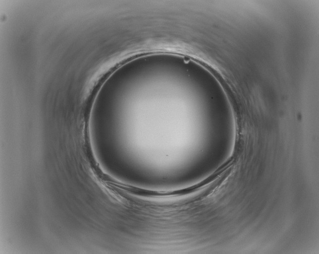 X0000070881507200606191302