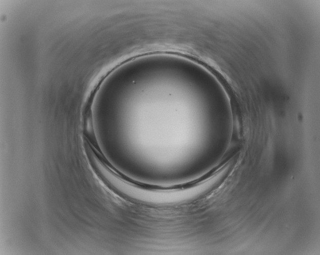 X0000070881508200606191302