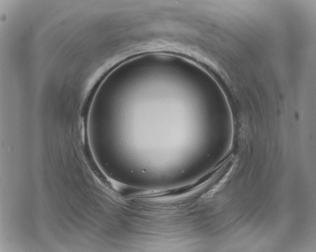 X0000070881509200606191302