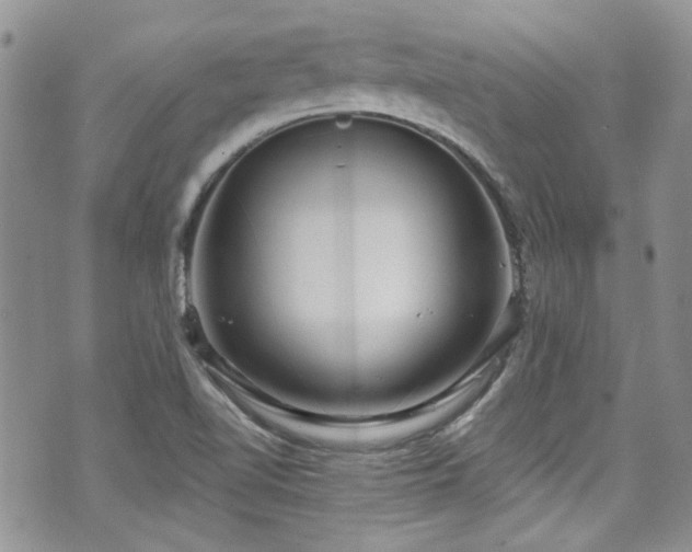 X0000070881510200606191302