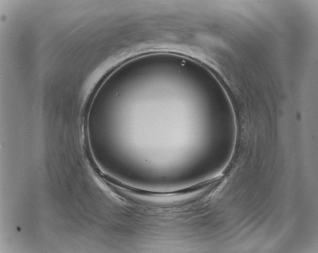 X0000070881511200606191302