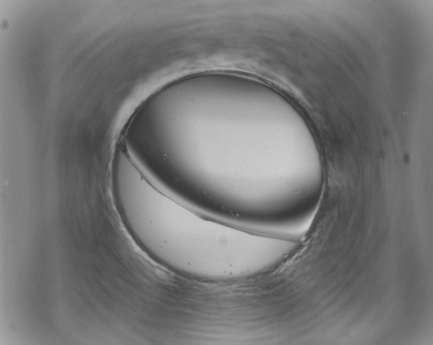 X0000070881512200606191302