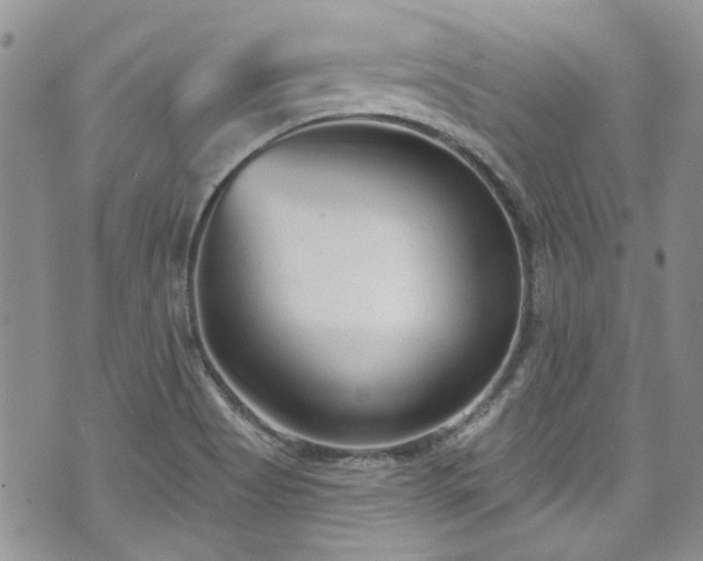 X0000070881513200606191302