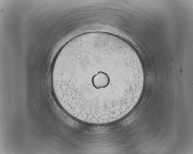 X0000070881514200606191302