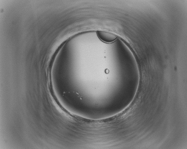 X0000070881515200606191302