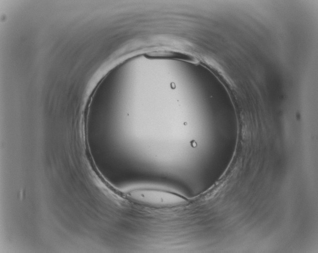 X0000070881516200606191302