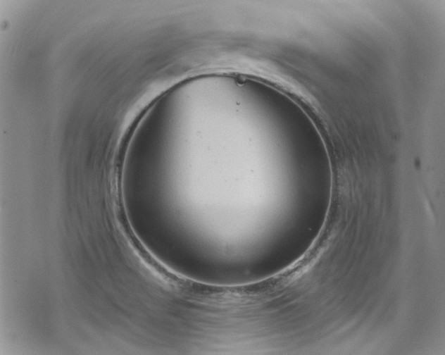 X0000070881517200606191302