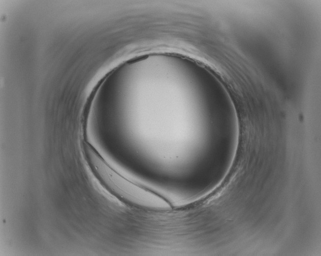 X0000070881518200606191302