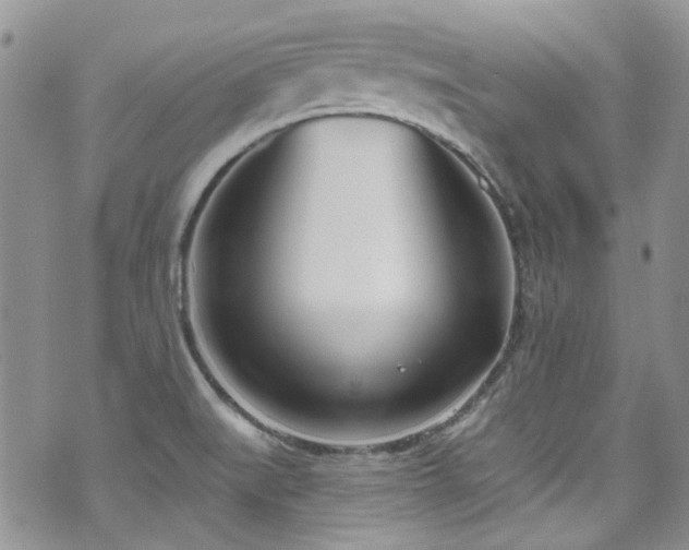 X0000070881519200606191302